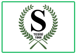Blog Img