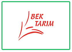 Blog Img